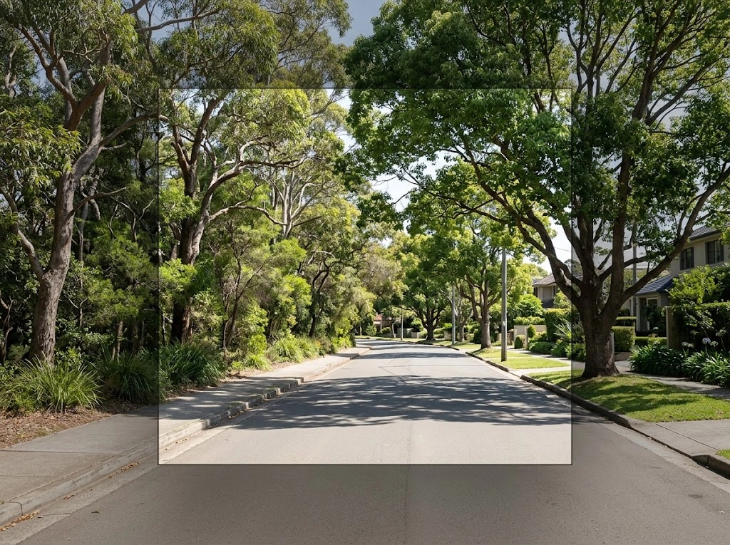 Leafy North Shore streetscape with bushland edge near Chatswood